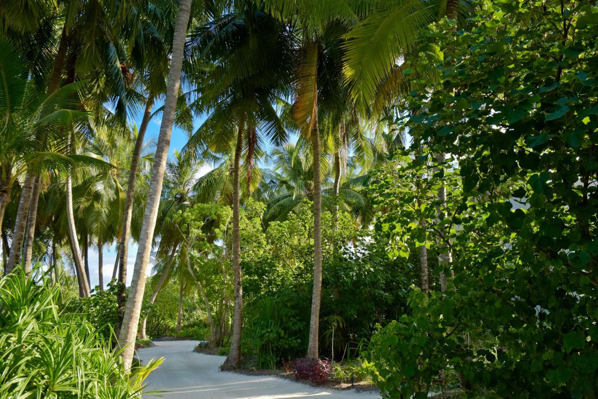 Kandima Maldives Kudahuvadhoo Exteriör bild A road in Maldives